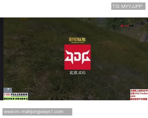 和平精英焦点JDG的速度探讨与战术分析及未来发展趋势研究